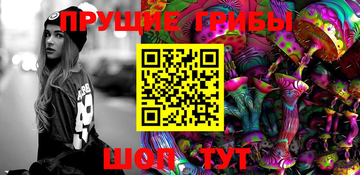 Гулькевичи  купить наркотик  Вход с VPN  Псилоцибиновые грибы Cubensis 